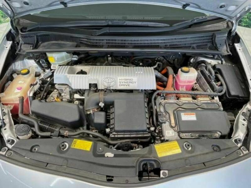 PRIUS-19