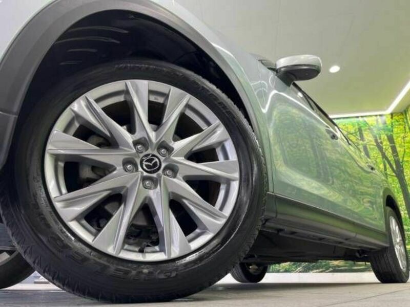 CX-8-13