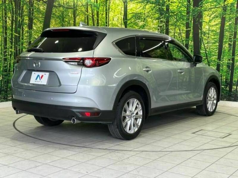 CX-8-17