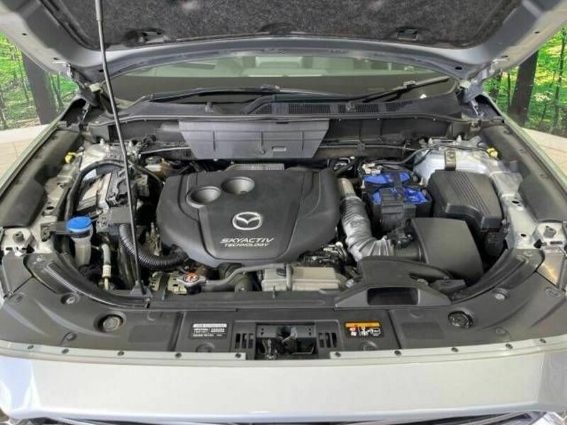 CX-8-18