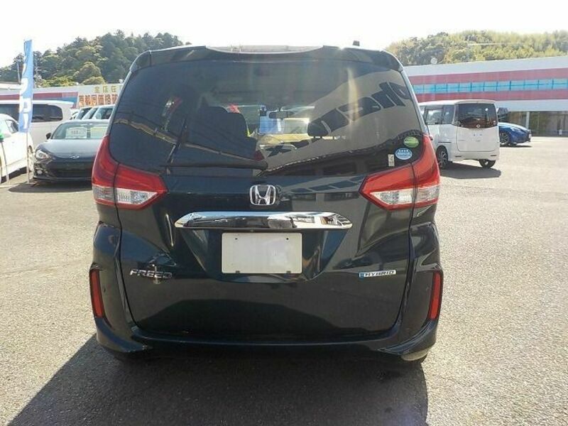 FREED HYBRID-6