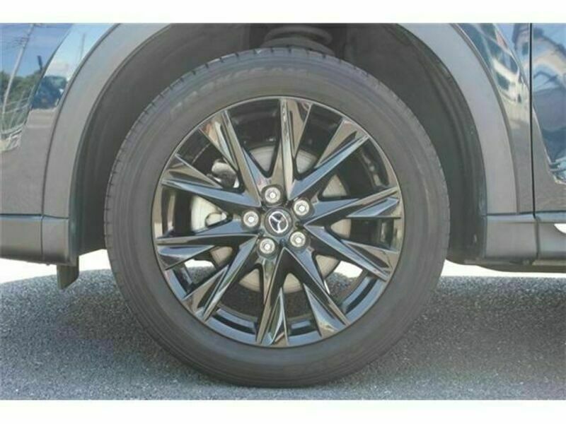 CX-8-12