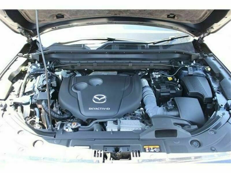 CX-8-19