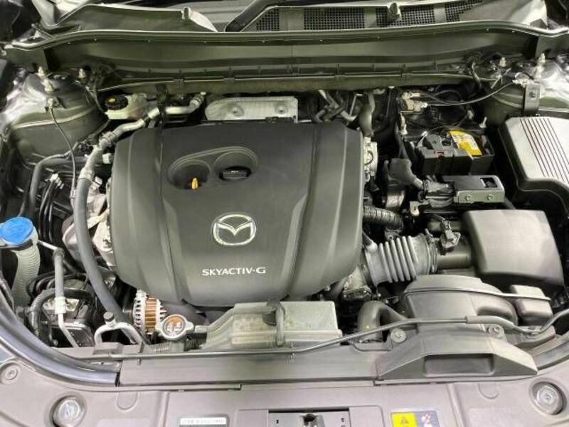 CX-5-17