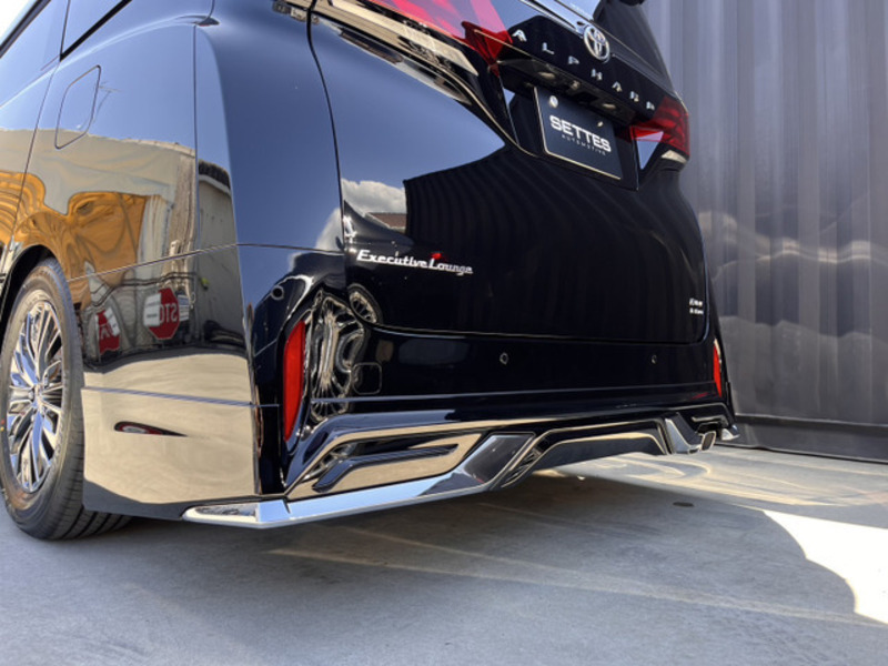 ALPHARD-10