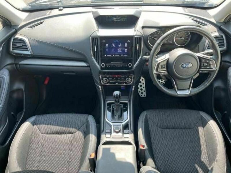 FORESTER-1