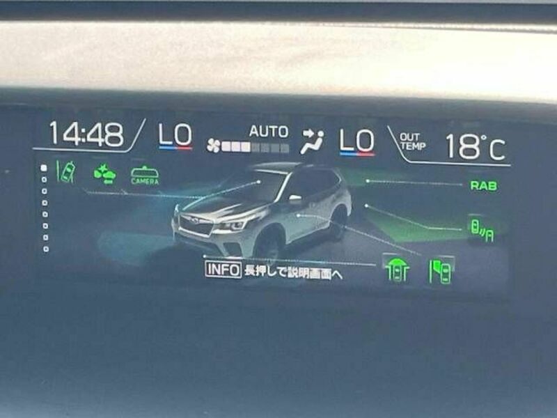 FORESTER-2