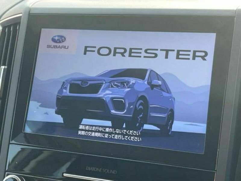 FORESTER-3