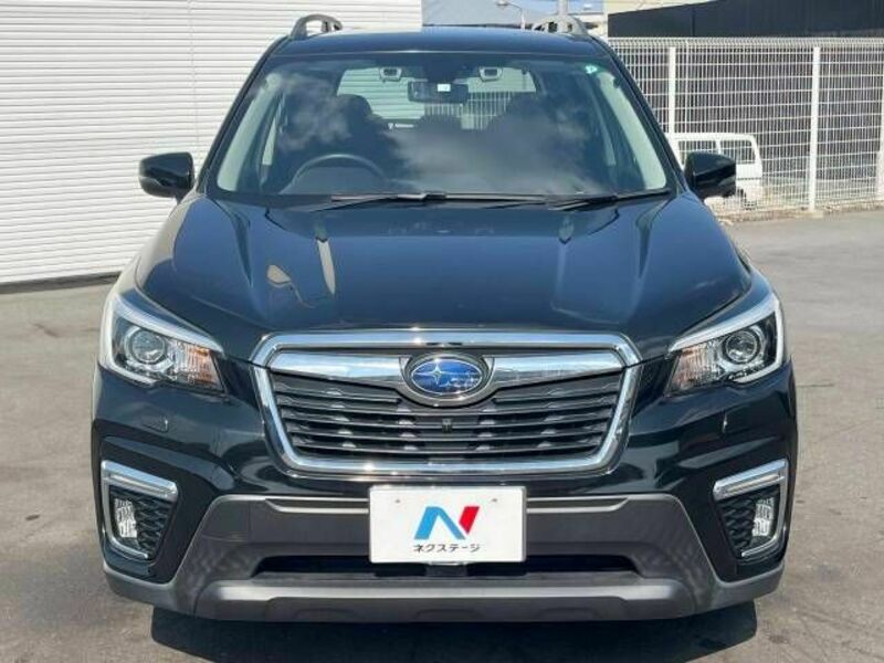 FORESTER-16