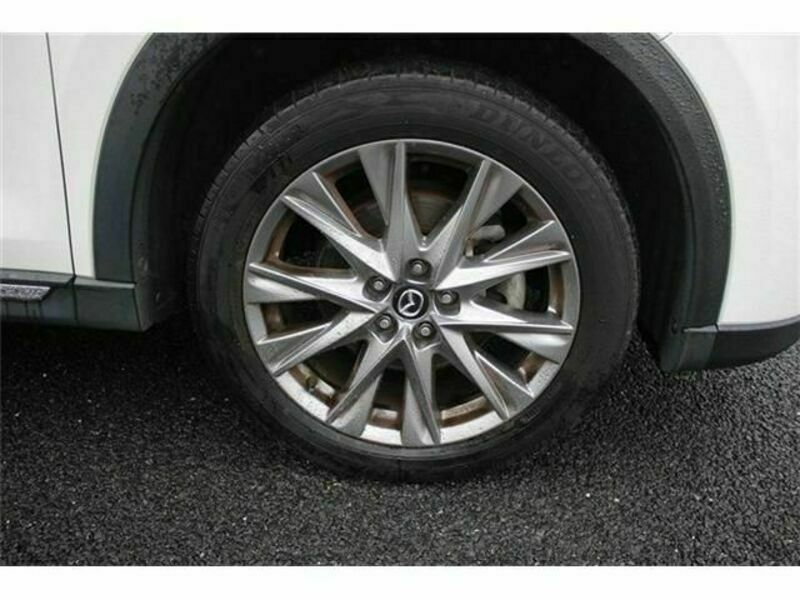 CX-8-11