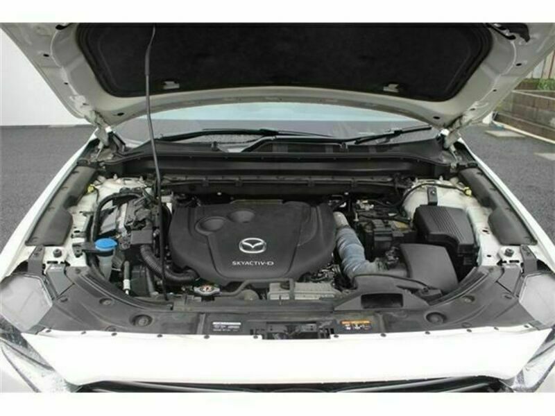 CX-8-18