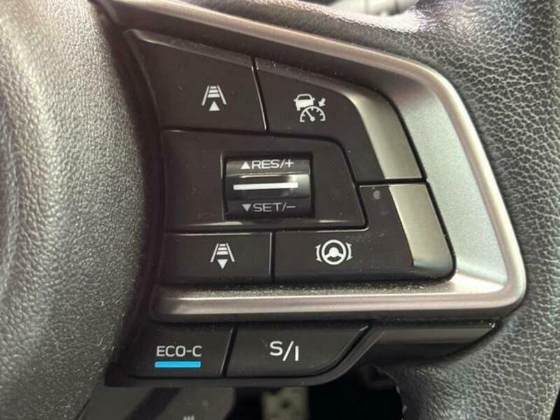 FORESTER-4