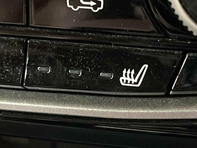 FORESTER-8