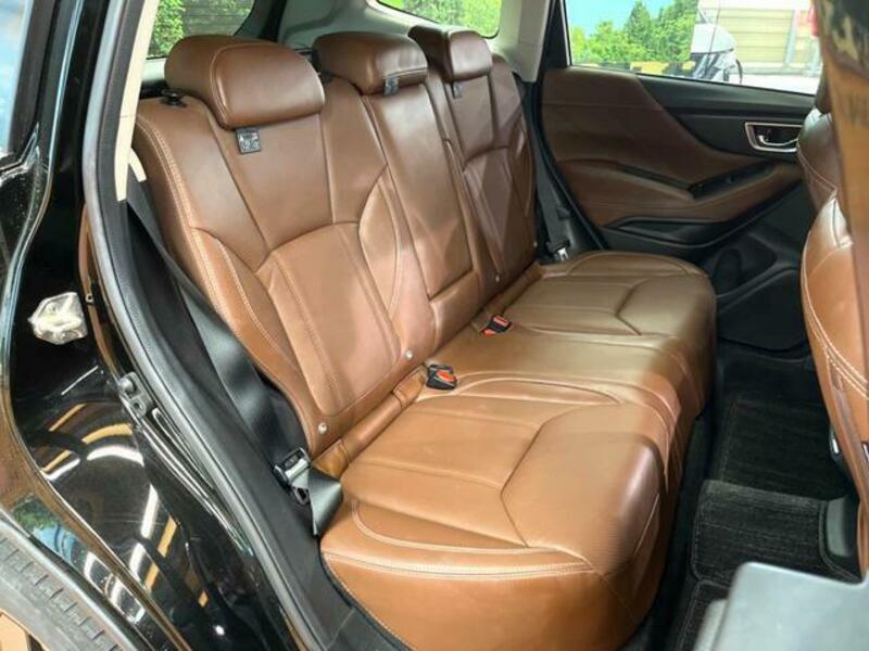 FORESTER-11