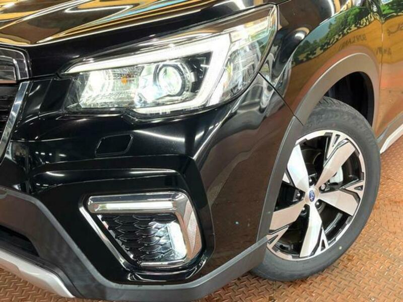 FORESTER-13