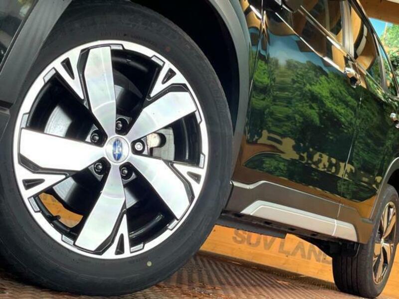 FORESTER-14