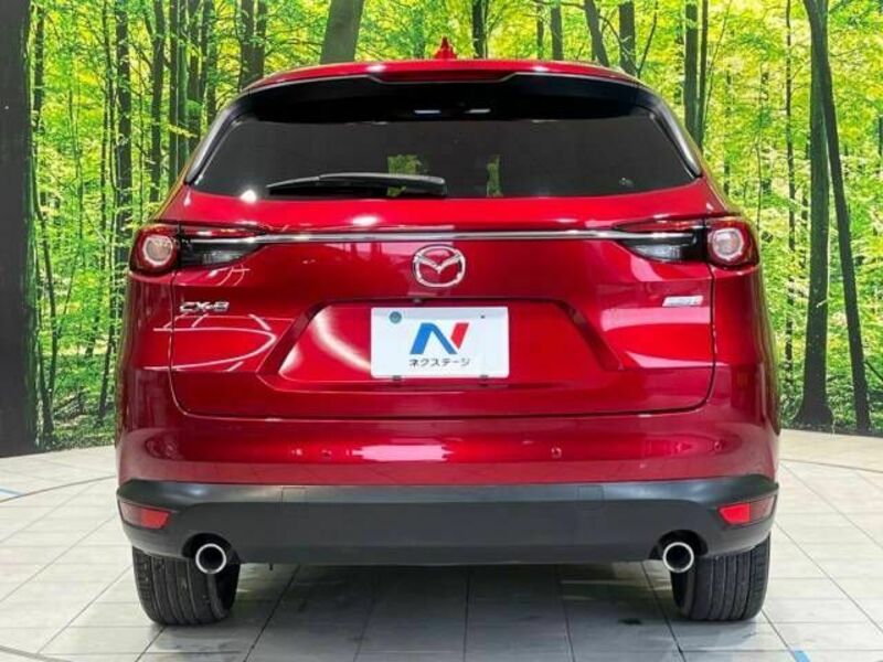 CX-8