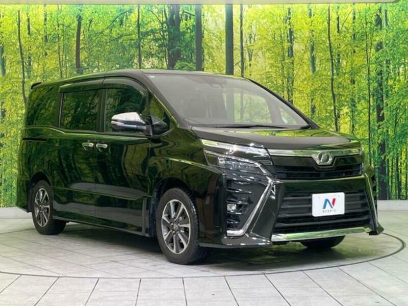 VOXY-17