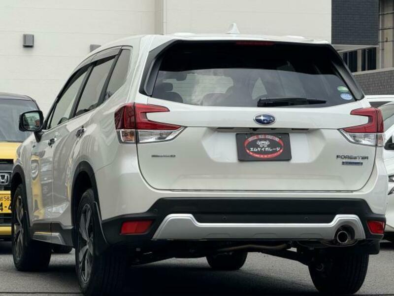 FORESTER