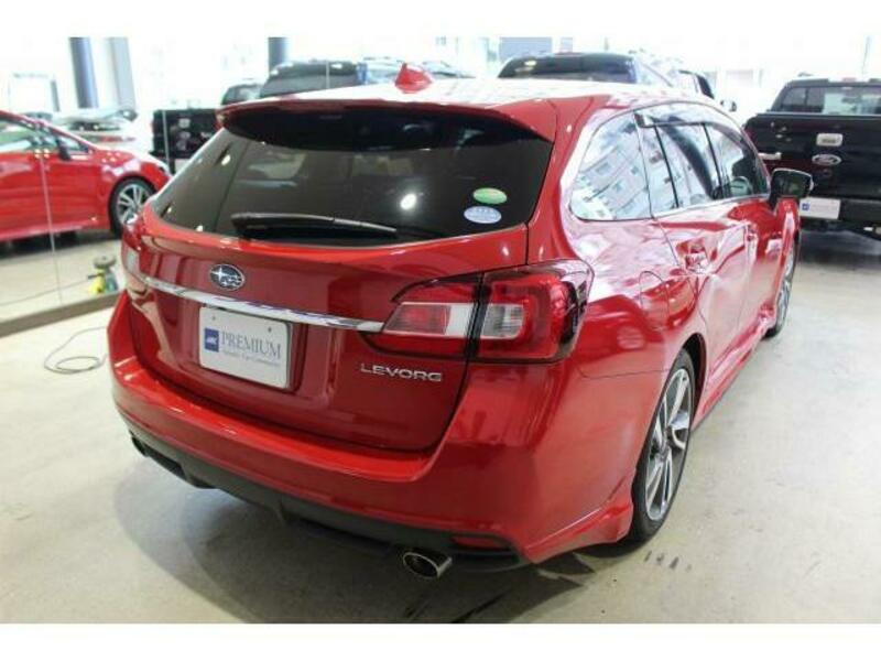 LEVORG