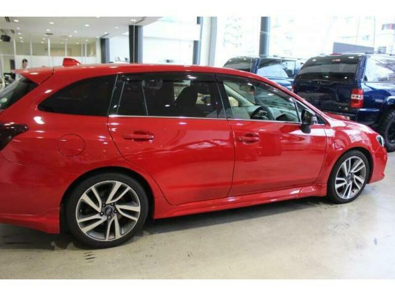 LEVORG