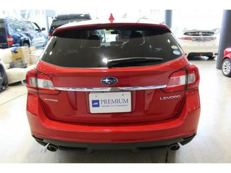 LEVORG