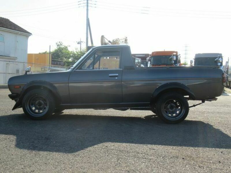 SUNNY TRUCK-3