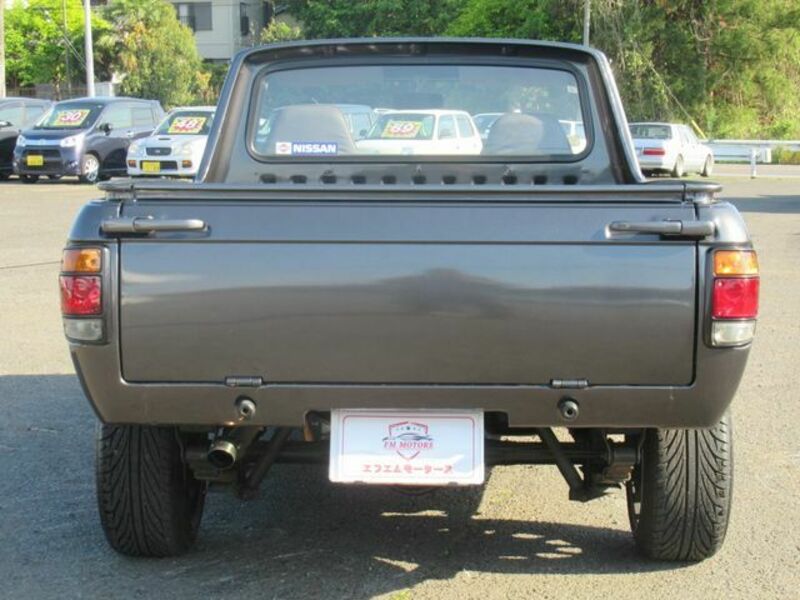 SUNNY TRUCK-5