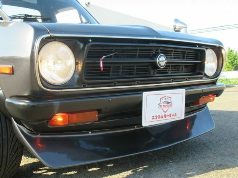 SUNNY TRUCK-8