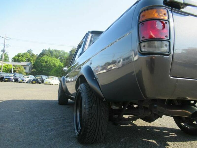 SUNNY TRUCK-16