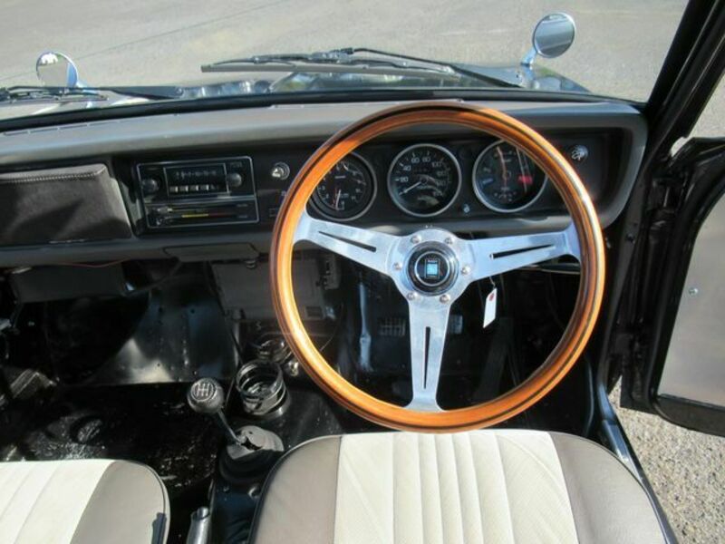 SUNNY TRUCK-18