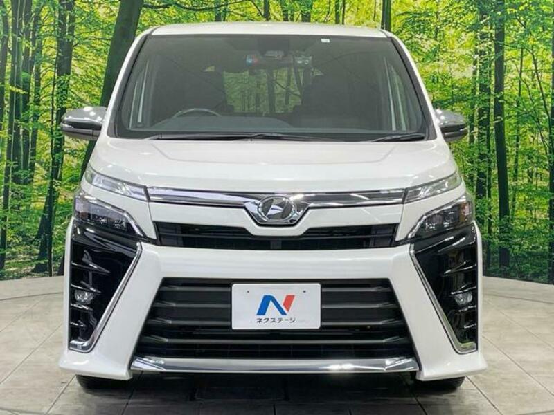 VOXY-13
