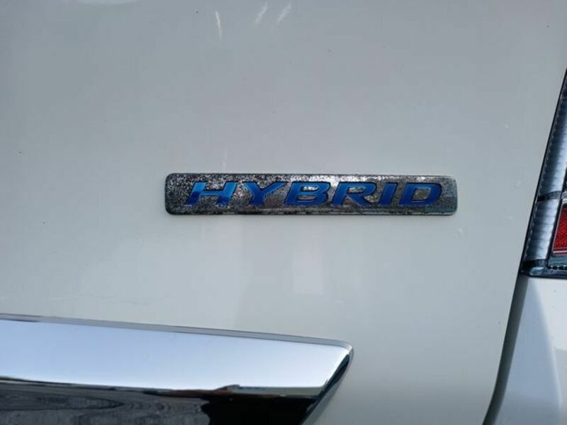 FREED HYBRID-17