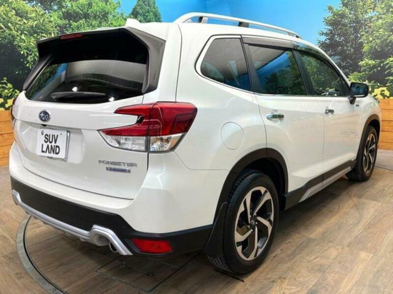 FORESTER-16