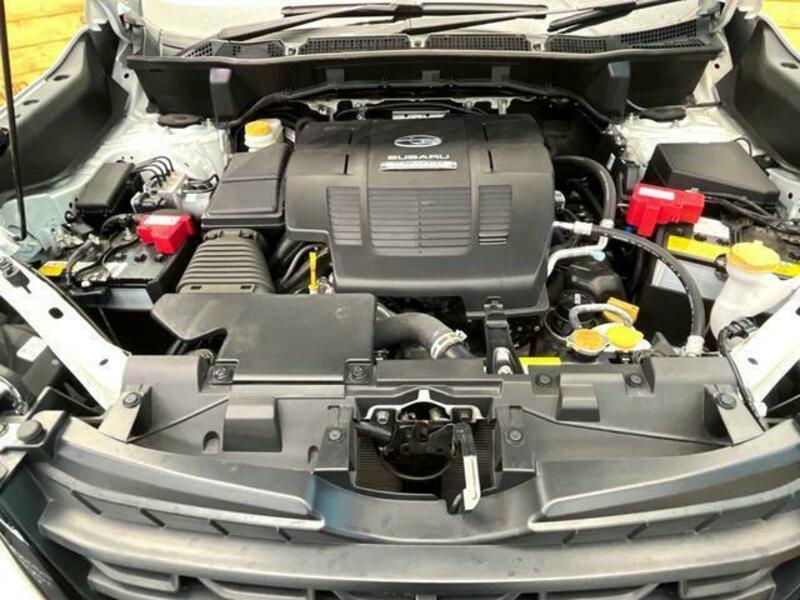 FORESTER-17
