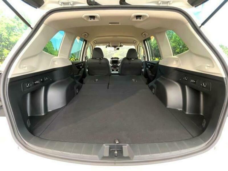FORESTER-9