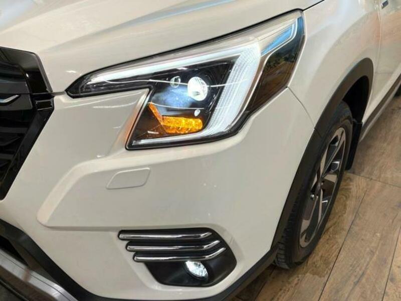 FORESTER-11