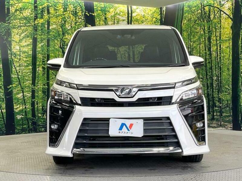 VOXY-15