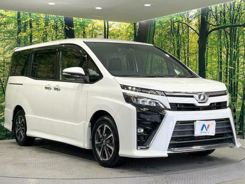 VOXY-17