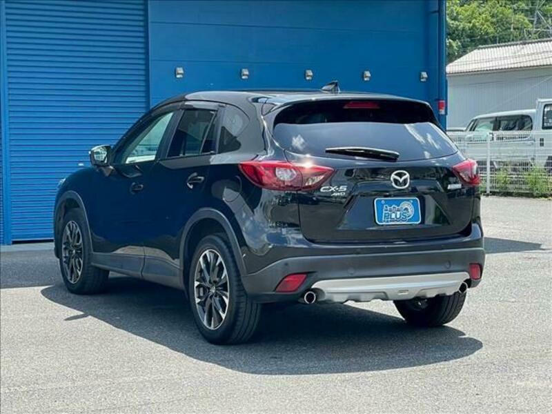 CX-5-17