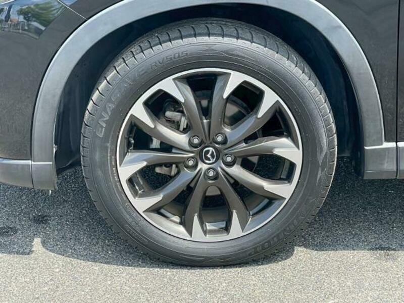 CX-5-19