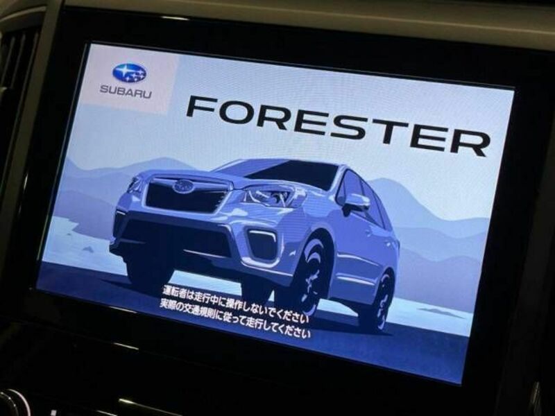 FORESTER