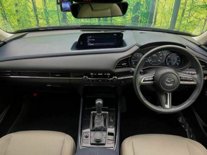 CX-30