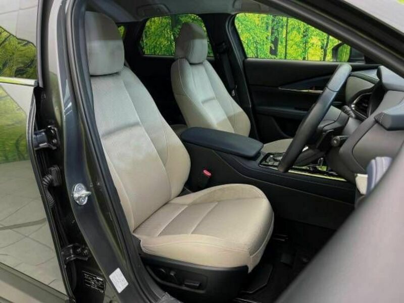 CX-30