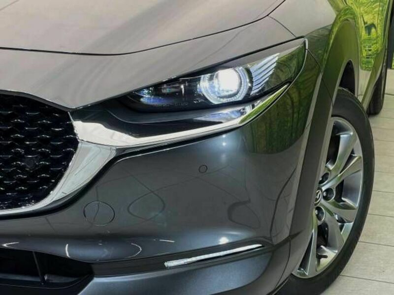 CX-30