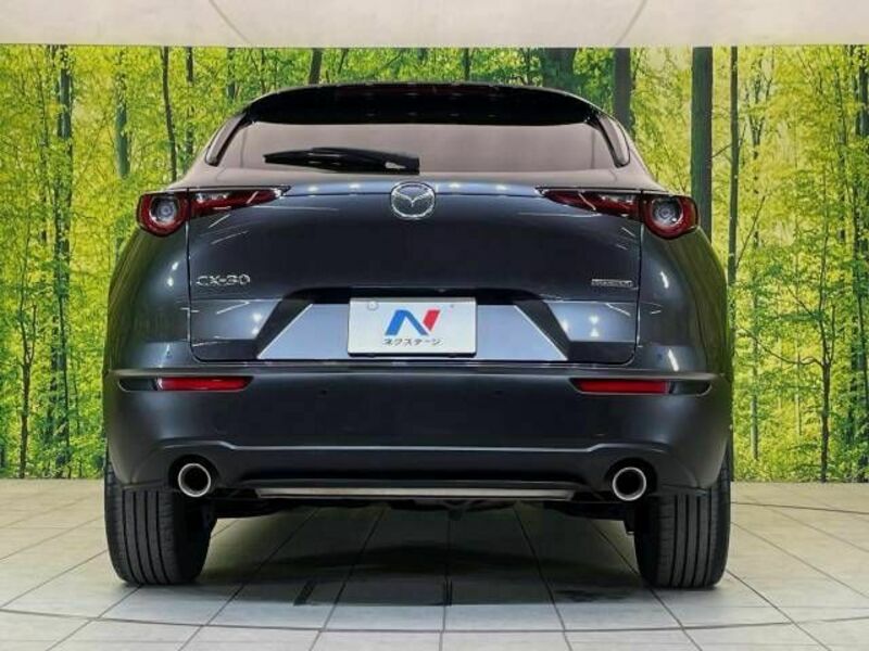 CX-30