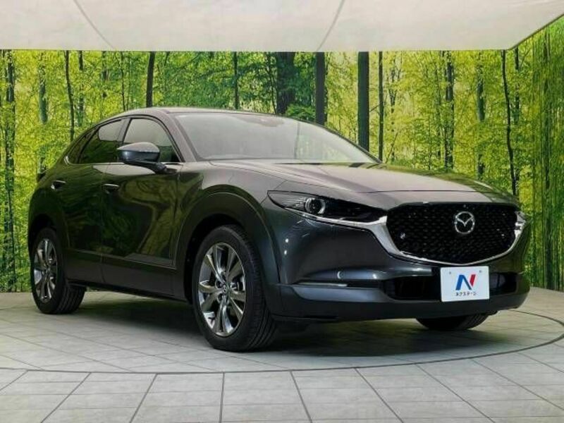 CX-30