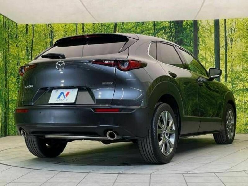 CX-30