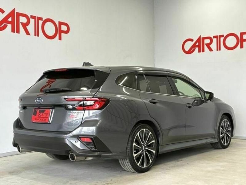 LEVORG