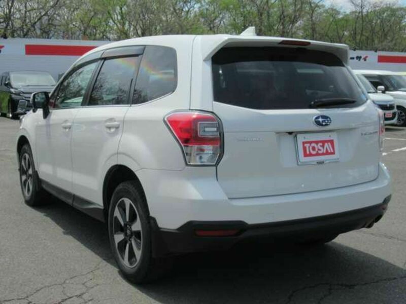 FORESTER